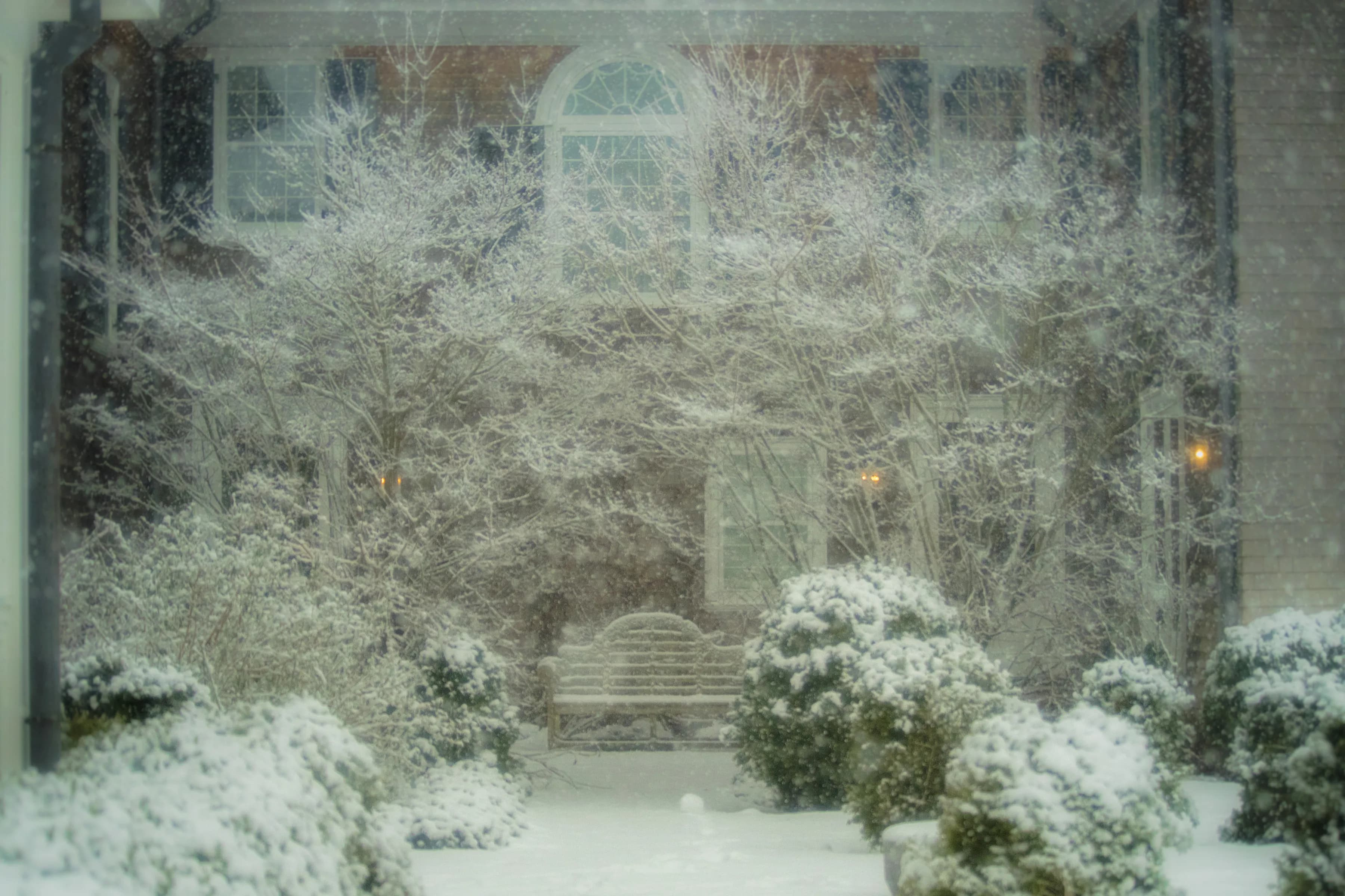Snow photography