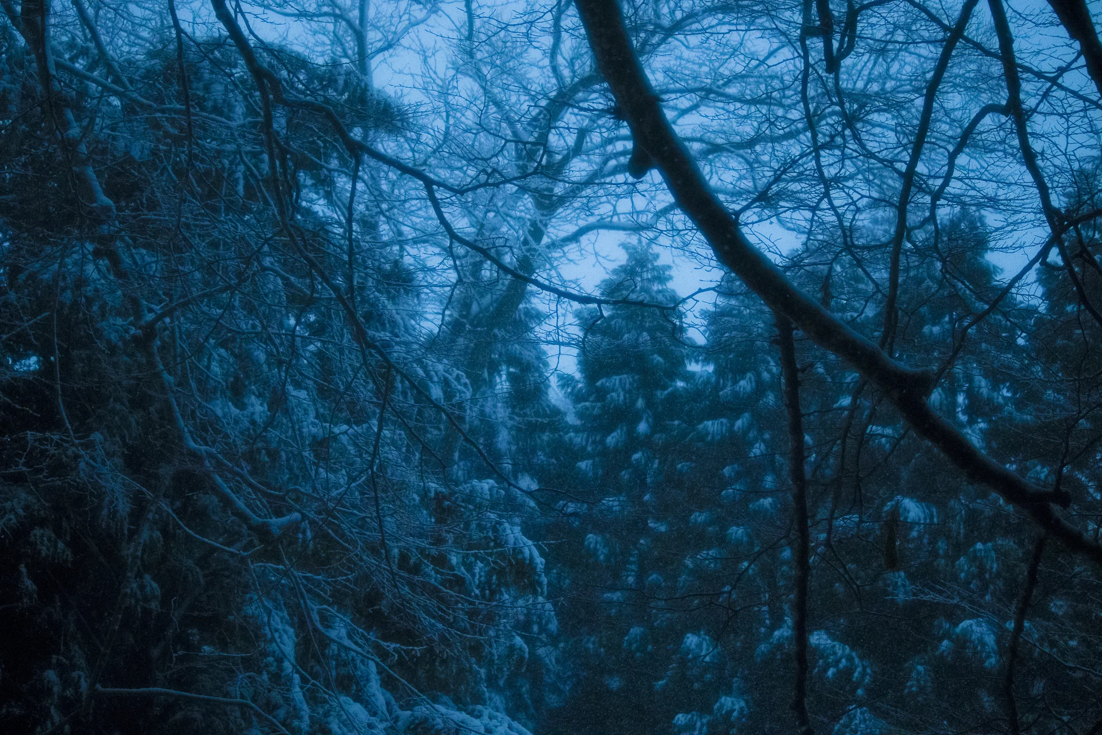 Snow photography