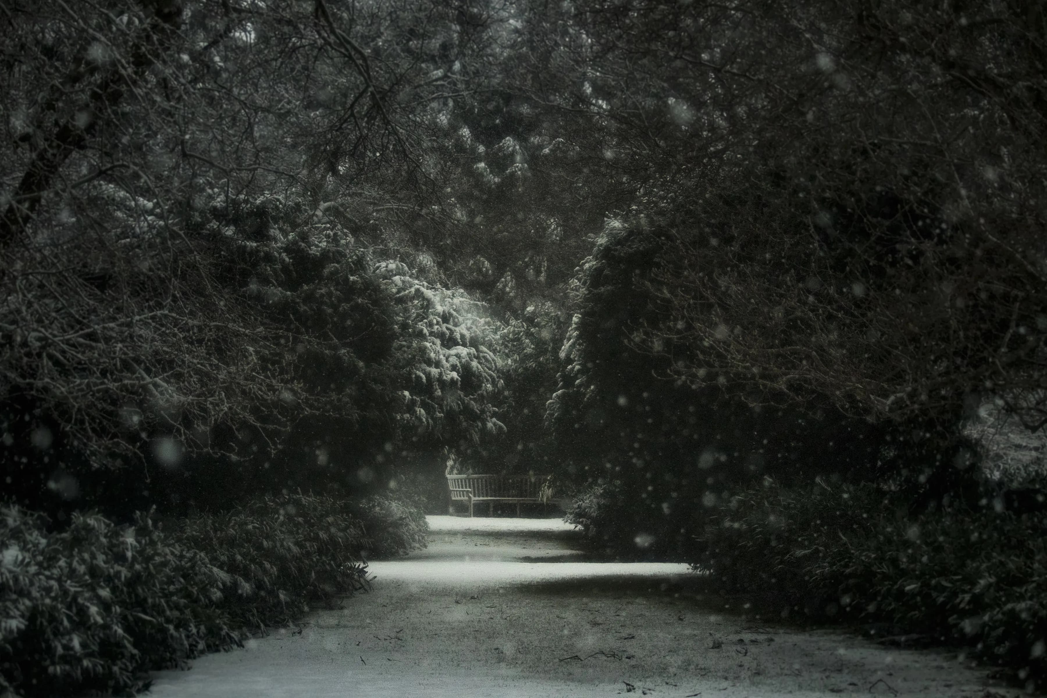 Snow photography