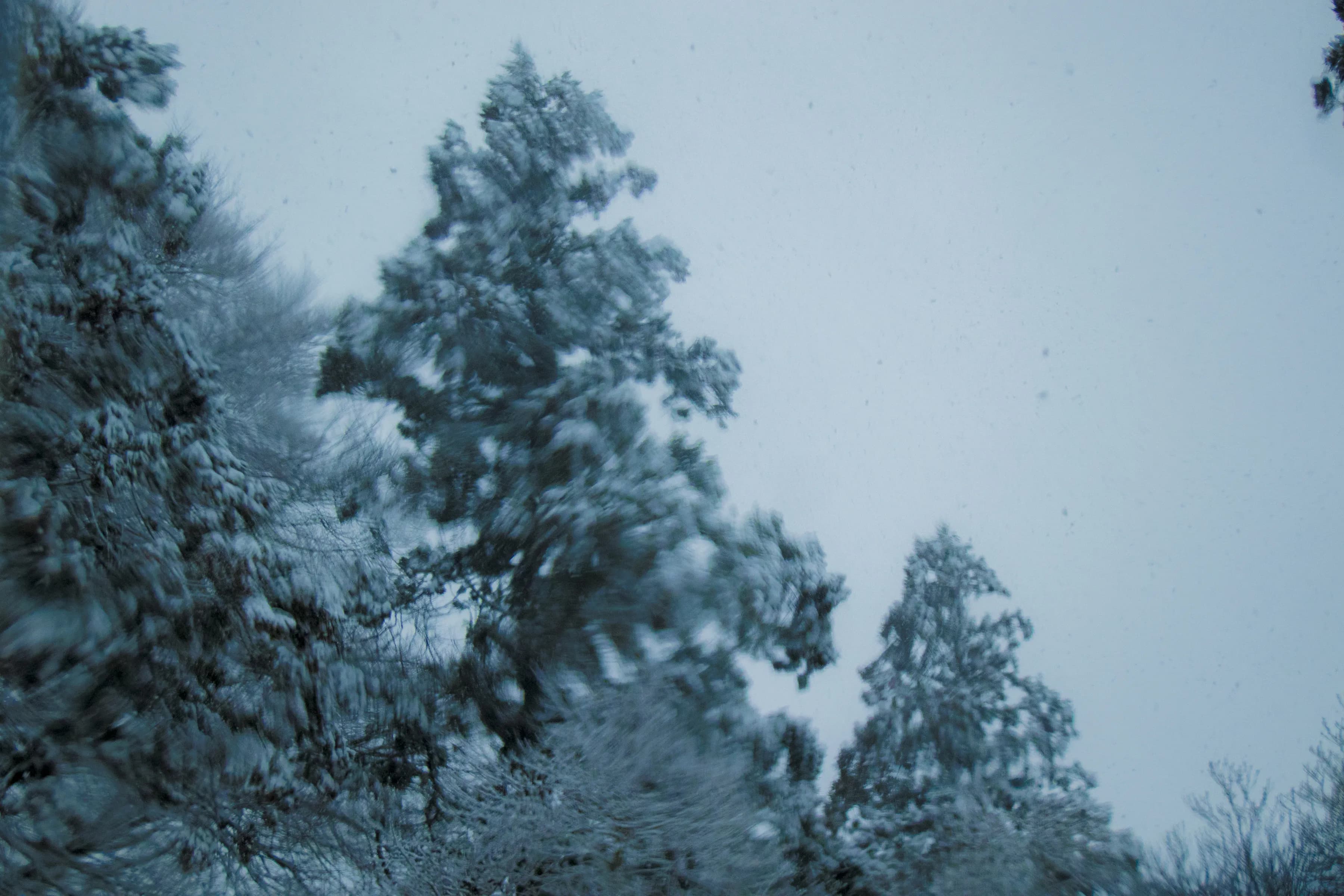 Snow photography
