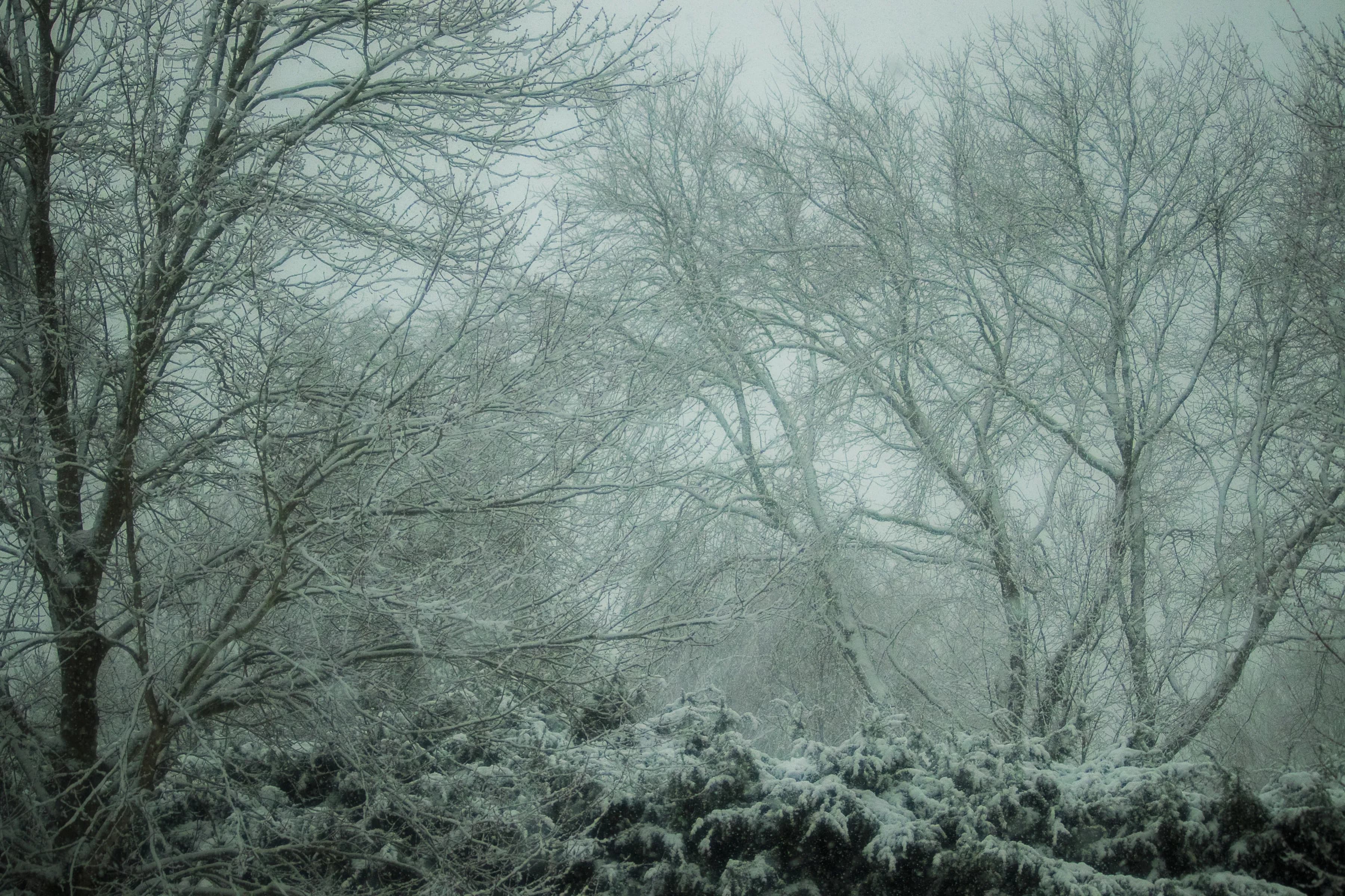 Snow photography